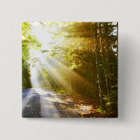 Sun Beams Through Forest in Acadia National Park