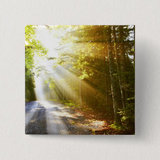 Sun Beams Through Forest in Acadia National Park 15 Cm Square Badge