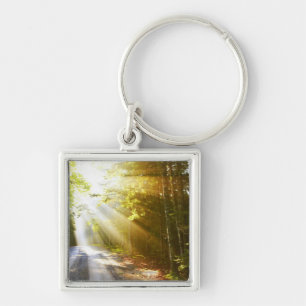 Sun Beams Through Forest in Acadia National Park Key Ring