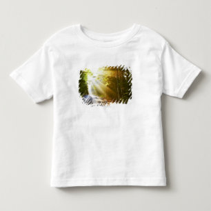 Sun Beams Through Forest in Acadia National Park Toddler T-Shirt
