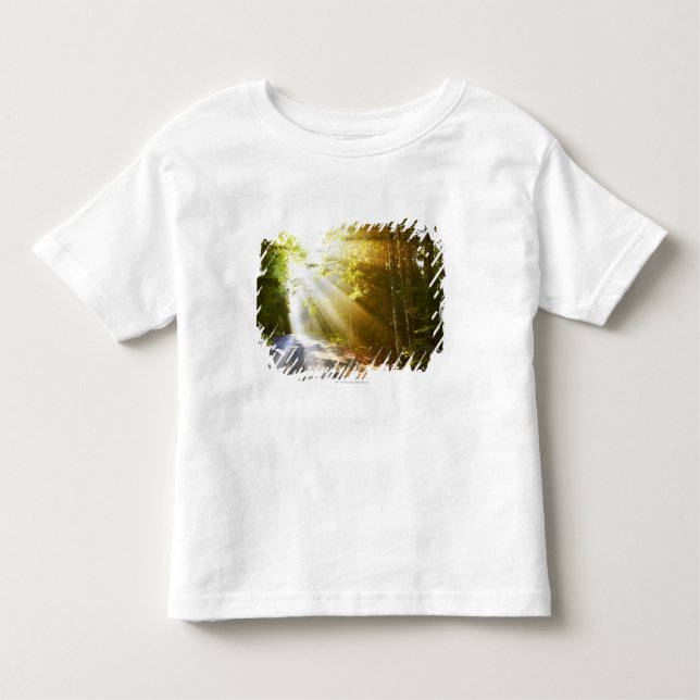 Sun Beams Through Forest in Acadia National Park Toddler T-Shirt (Front)