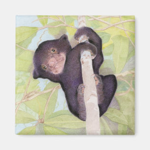 Sun Bear Cub Magnet