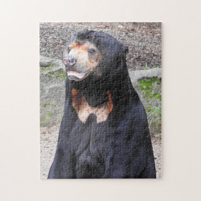 Sun Bear Puzzle (Vertical)