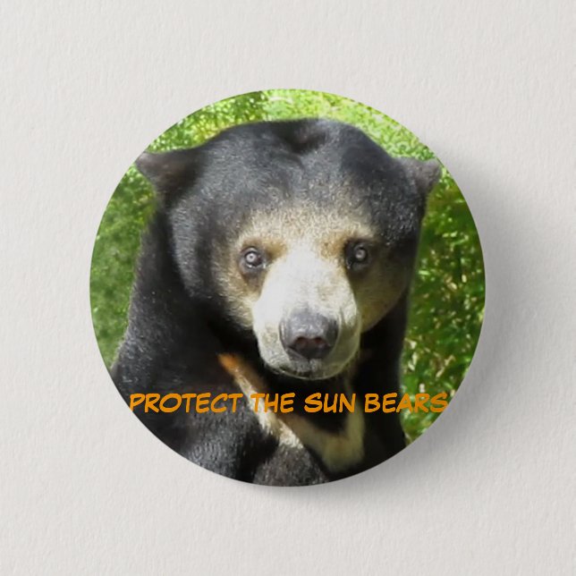 Sun Bear Ting Ting Button (Front)