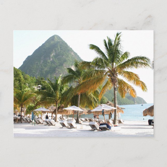 Sun Beds on a beach near the Pitons in St Lucia Postcard (Front)