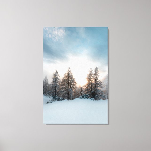 Sun behind spruce trees canvas print (Front)