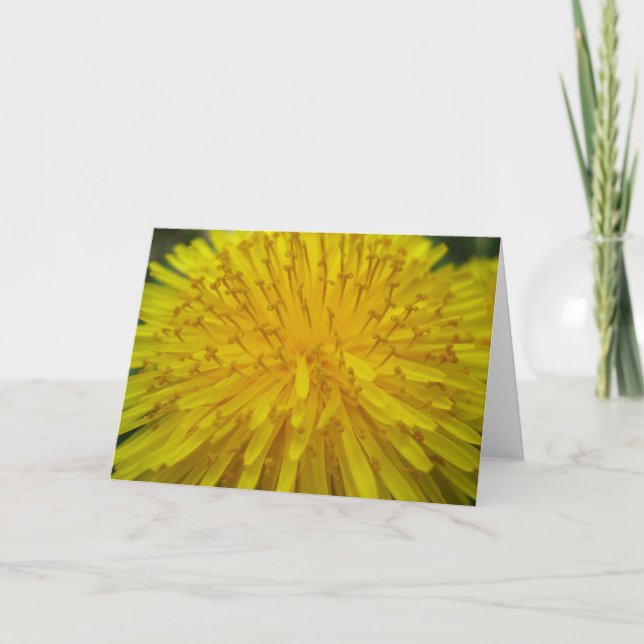 Sun Burst Greeting Card (Front)