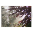 Sun, Cobweb, and Plum Tree Card
