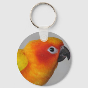 Sun Conure Key Ring