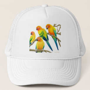 Sun Conure Parrots Hat