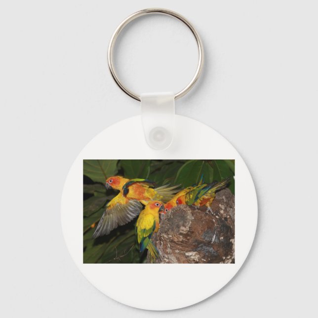 Sun Conures Key Ring (Front)