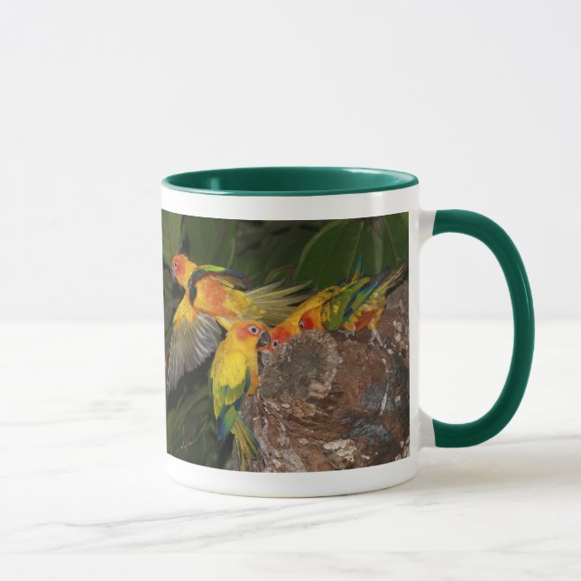 Sun Conures Mug (Right)
