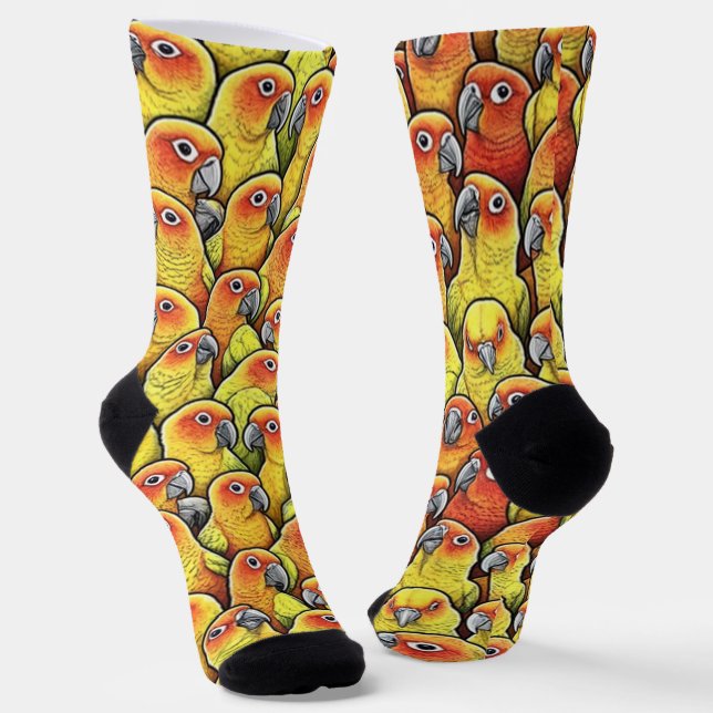 Sun Conures Socks (Angled)