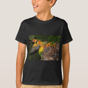 Sun Conures T-Shirt
