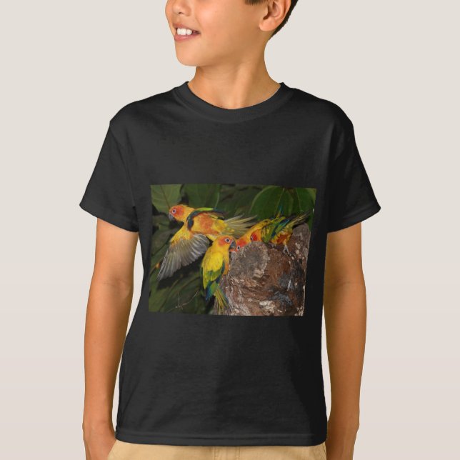 Sun Conures T-Shirt (Front)