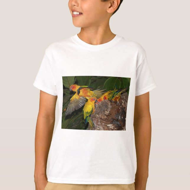 Sun Conures T-Shirt (Front)