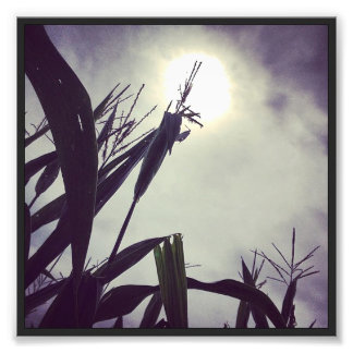 Sun-Corn God Photo Print