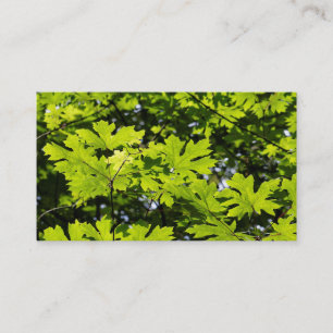 Sun-Dappled Leaves in the Forest Business Card