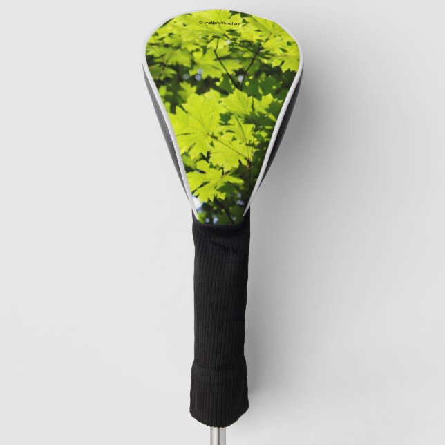 Sun-Dappled Leaves in the Forest Golf Head Cover (Front)