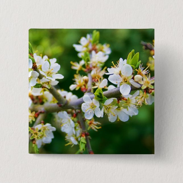 Sun-Dappled Spring Hawthorn 15 Cm Square Badge (Front)