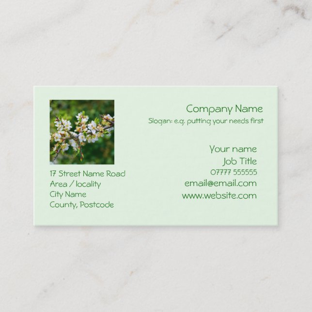 Sun-Dappled Spring Hawthorn Business Card (Front)