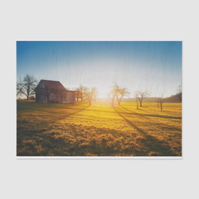 Sun-Drenched Barn and Field Tissue Paper (Front)