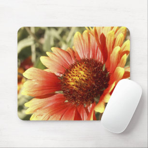 Sun Drenched Gaillardia Mouse Pad
