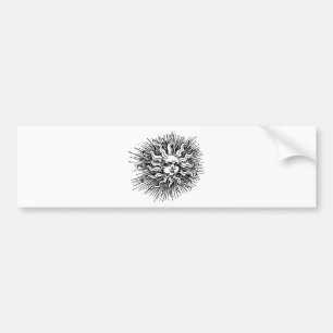 Sun face bumper sticker