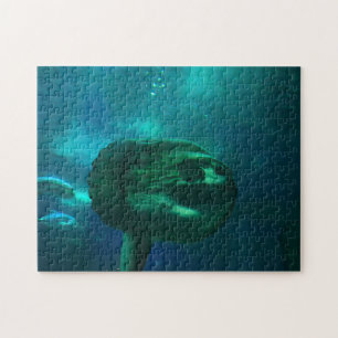 Sun Fish. Jigsaw Puzzle