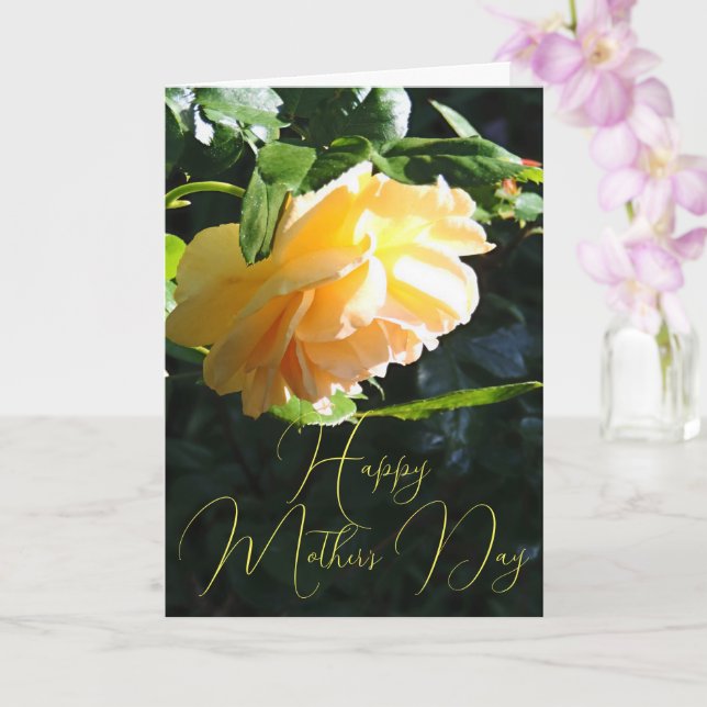 Sun Glow Yellow Rose Happy Mother's Day  Card (Orchid)