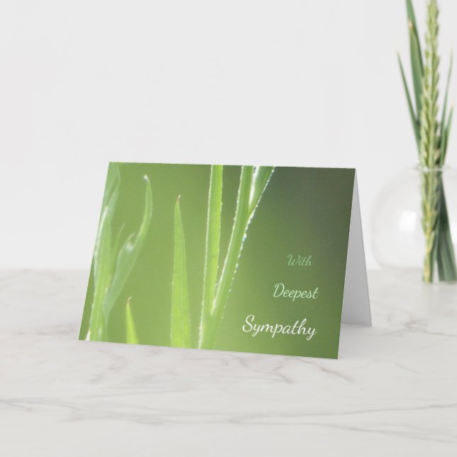 Sun Glowing Flower Stalks Sympathy Card (Front)