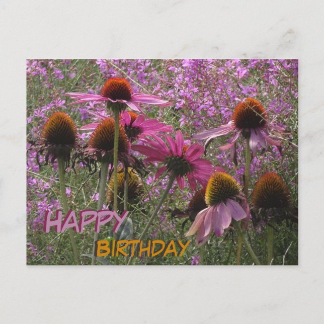 Sun Hat Flowers Cust. Text Happy Birthday Postcard (Front)