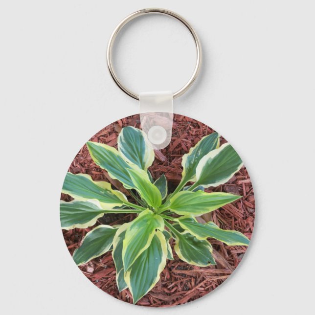 Sun Hosta Key Ring (Front)