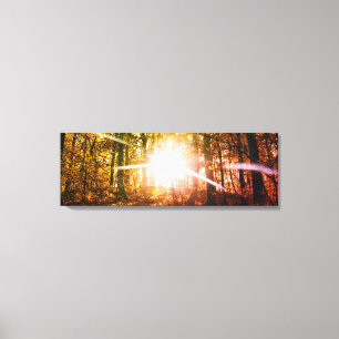 Sun in the autumn forest canvas print