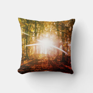 Sun in  the autumn forest cushion