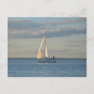 Sun In The Sails Postcard