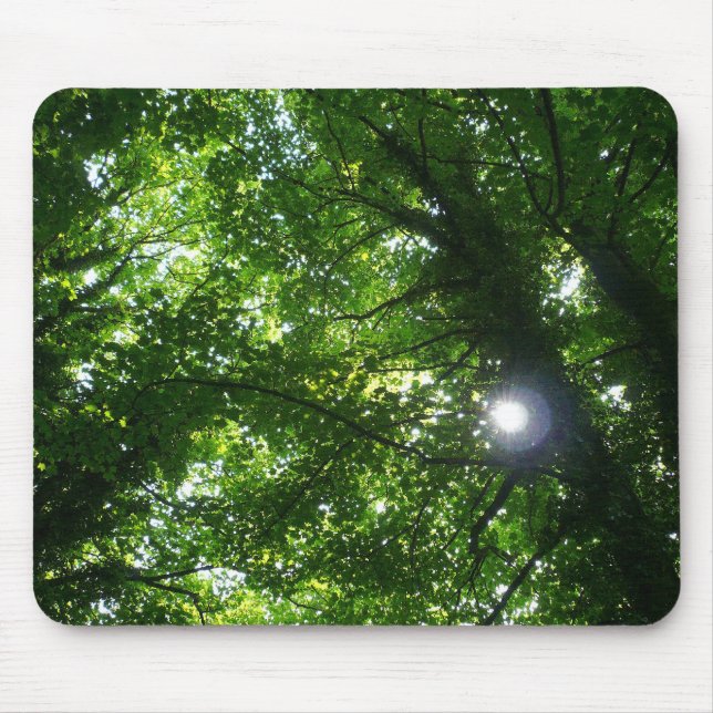 Sun in the Trees Mouse Pad (Front)