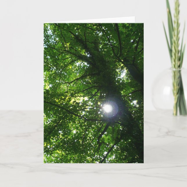 Sun in the Trees - Vertical Card (Front)