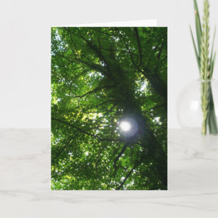 Sun in the Trees - Vertical Card
