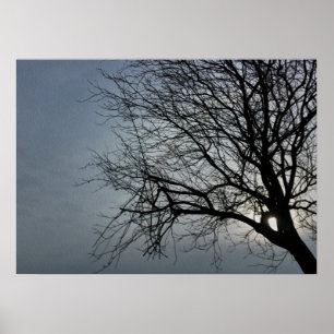 sun is hiding poster