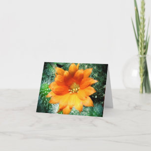 Sun Kissed Desert Flower Thank You Notes