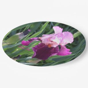 Sun-kissed Pink Magenta Iris Garden  Paper Plate