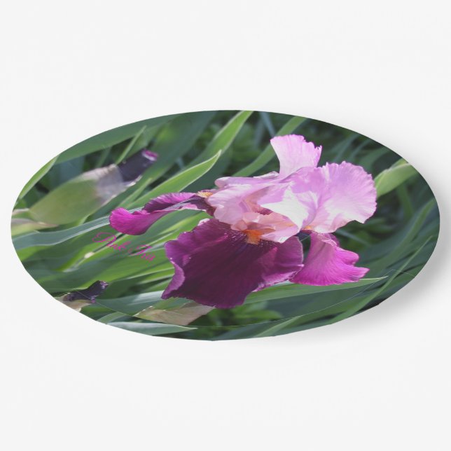 Sun-kissed Pink Magenta Iris Garden  Paper Plate (Angled)