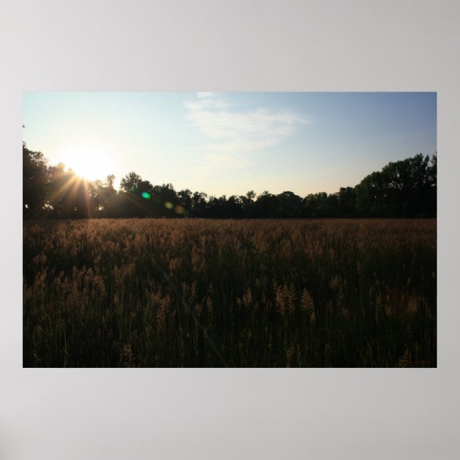 Sun Over Field #4156 Poster (Front)