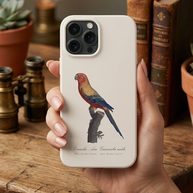 Sun Parakeet Male, Aratinga Solstitialis Case-Mate iPhone Case (Sun Parakeet Male, Aratinga Solstitialis. iPhone Case)