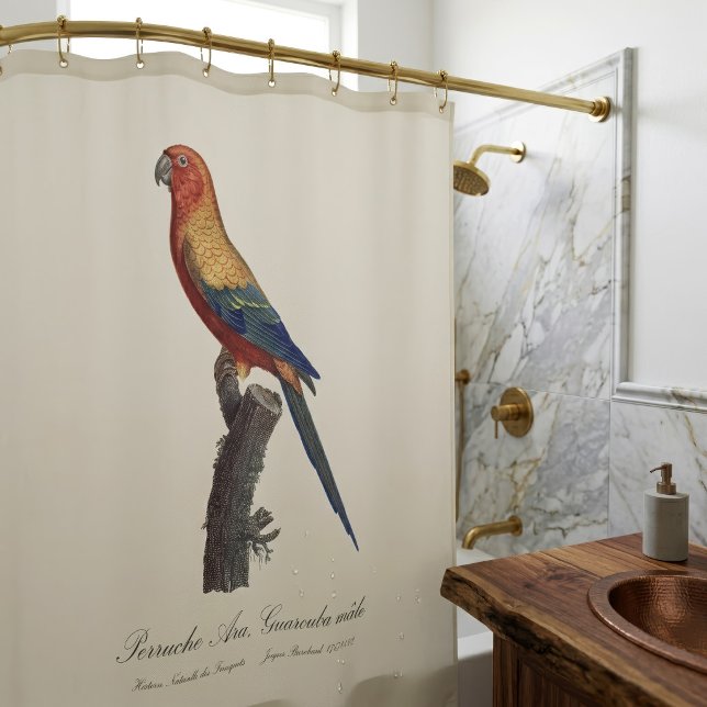 Sun Parakeet Male, Aratinga Solstitialis Shower Curtain (Sun Parakeet Male, Aratinga Solstitialis. Shower Curtain)