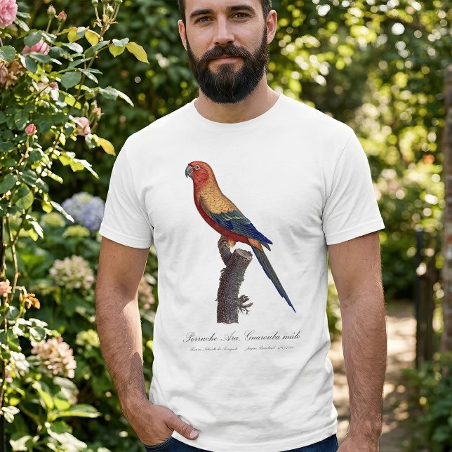 Sun Parakeet Male, Aratinga Solstitialis T-Shirt (Sun Parakeet Male, Aratinga Solstitialis. Men Basic White T-Shirt )