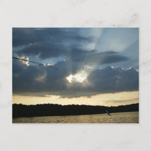Sun peaking with fish postcard