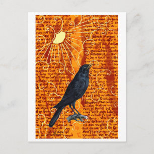 Sun Raven Postcard
