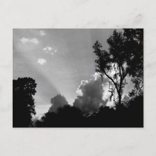 Sun Rays at Sunset Photo B&W Postcard